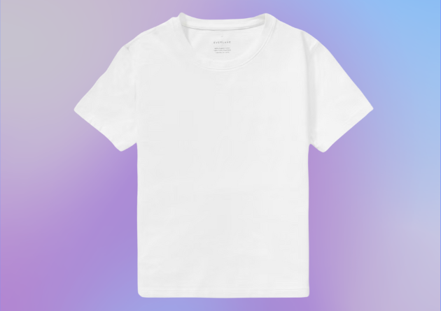 I Finally Found the Perfect White Tee Shirt (and it’s only $30).