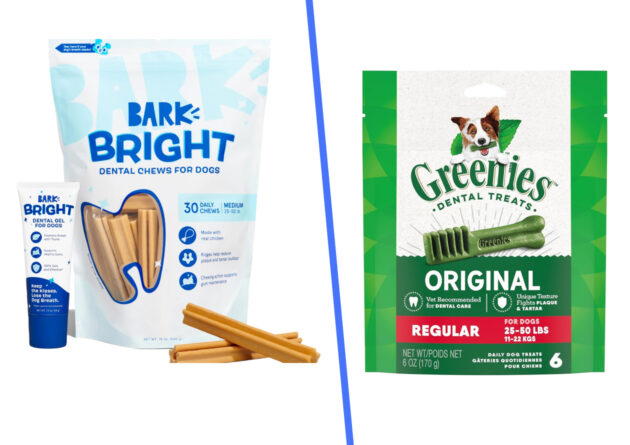 BARK Bright Vs. Greenies™: We Compared the Best Doggy Dental Care Products and We Have Some Thoughts…