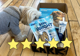 The Reviews Are In… This Hands-Free Doggy Dental Kit Has Been <i>the Most Convenient & Effective Method For Fresh Breath and Healthy Teeth</i>