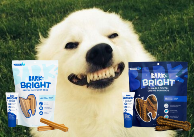 <i>This Doggy Dental Kit Is Brightening Dog Smiles Across The Globe</i>, And The Results Will Brighten Your Day