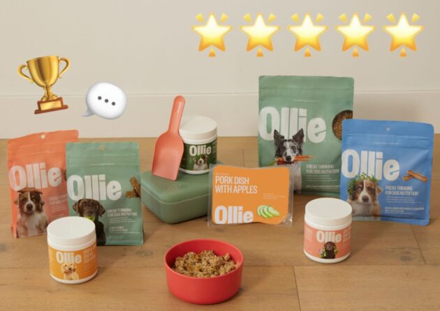 We Dug Through Endless Reviews to Uncover What Dog Parents Are *Really* Saying About Ollie, The Custom Dog Food Service